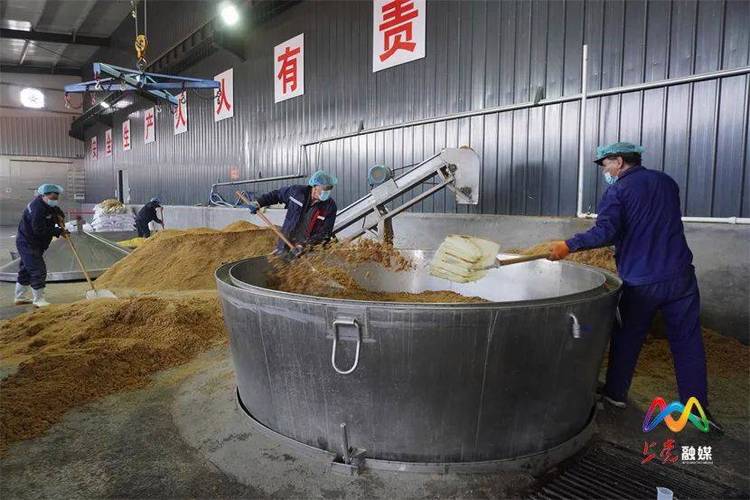 米来香酒业 开足马力忙生产，小米白酒满飘香